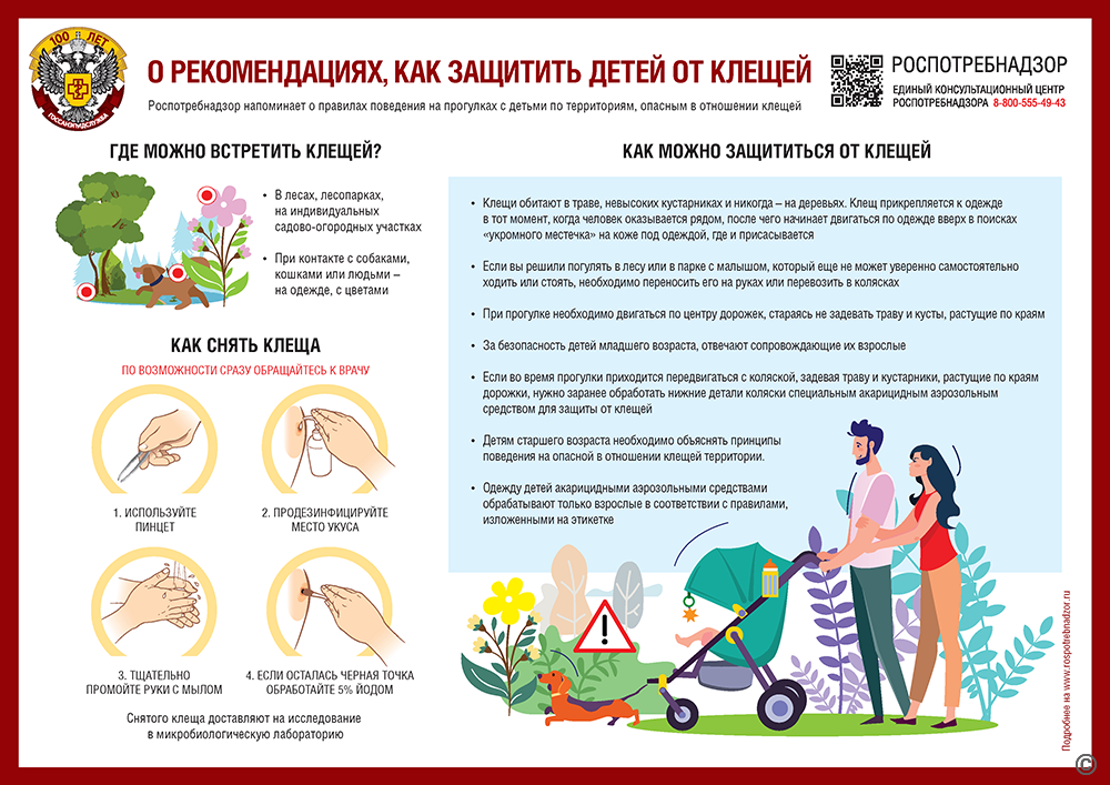 Дети и клещи
